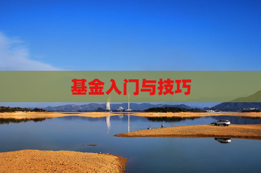 基金入门与技巧 基金入门与技巧