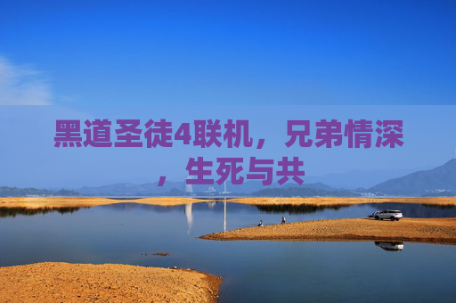 黑道圣徒4联机,兄弟情深,生死与共 黑道圣徒4联机,兄弟情深,生死与共