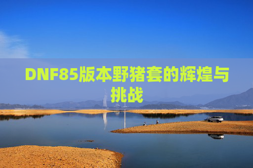 DNF85版本野猪套的辉煌与挑战