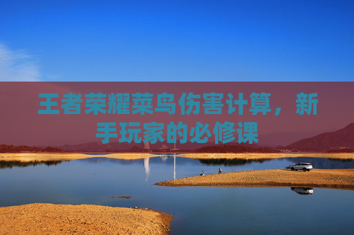 王者荣耀菜鸟伤害计算,新手玩家的必修课 王者荣耀菜鸟伤害计算,新手玩家的必修课