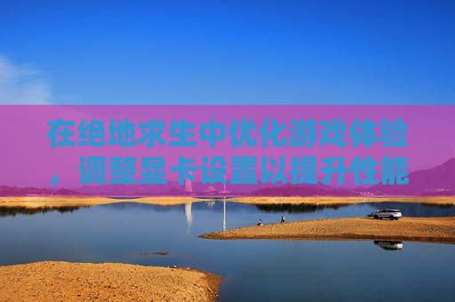 在绝地求生中优化游戏体验，调整显卡设置以提升性能