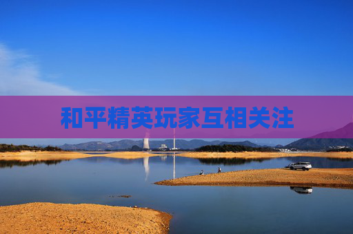 和平精英玩家互相关注 和平精英玩家互相关注