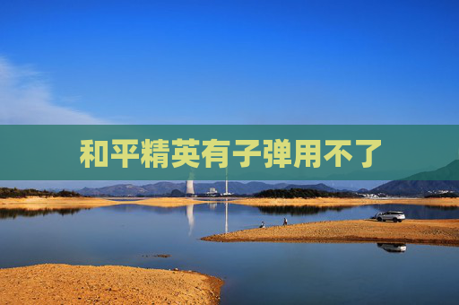 和平精英有子弹用不了 和平精英有子弹用不了