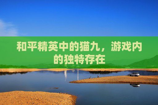 和平精英中的猫九,游戏内的独特存在 和平精英中的猫九,游戏内的独特存在