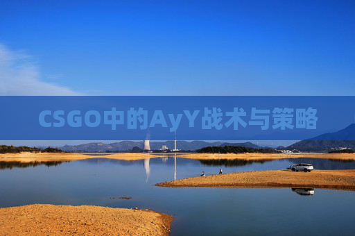 CSGO中的AyY战术与策略 CSGO中的AyY战术与策略