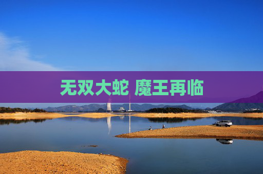 无双大蛇 魔王再临 无双大蛇 魔王再临