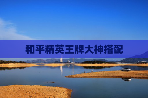 和平精英王牌大神搭配