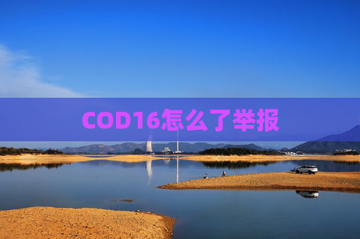 COD16怎么了举报