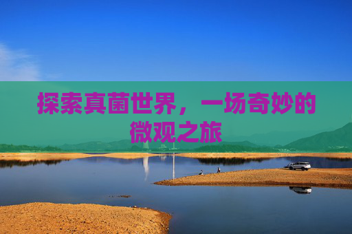 探索真菌世界,一场奇妙的微观之旅 探索真菌世界,一场奇妙的微观之旅