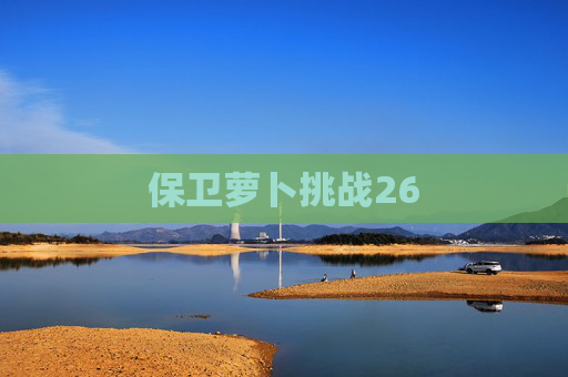 保卫萝卜挑战26