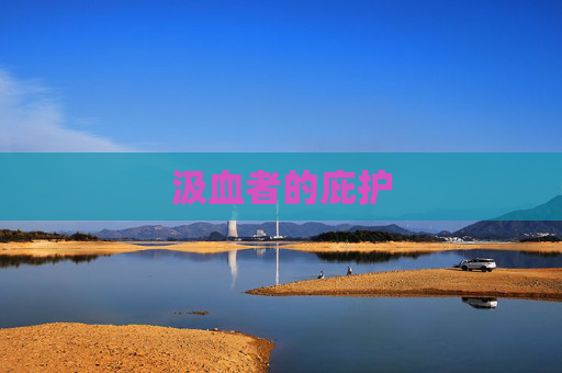 汲血者的庇护