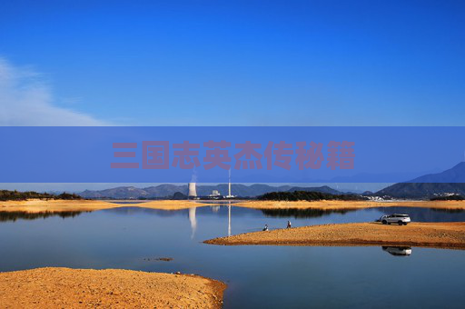三国志英杰传秘籍
