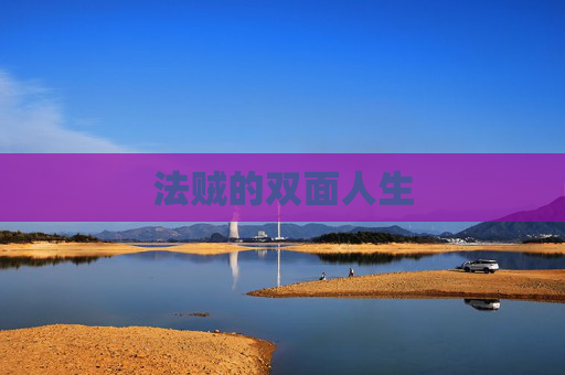 法贼的双面人生 法贼的双面人生