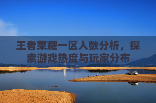 王者荣耀一区人数分析,探索游戏热度与玩家分布 王者荣耀一区人数分析,探索游戏热度与玩家分布