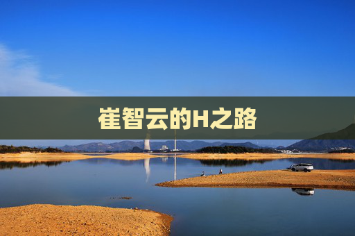 崔智云的H之路