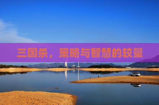 三国杀,策略与智慧的较量 三国杀,策略与智慧的较量