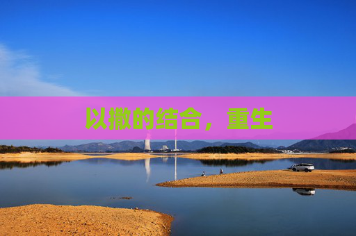 以撒的结合,重生 以撒的结合,重生