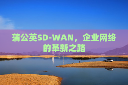 蒲公英SD-WAN,企业网络的革新之路 蒲公英SD-WAN,企业网络的革新之路