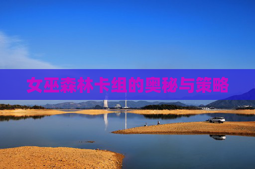 女巫森林卡组的奥秘与策略 女巫森林卡组的奥秘与策略