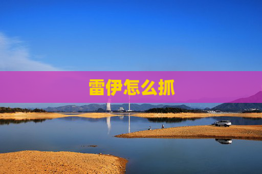 雷伊怎么抓 雷伊怎么抓