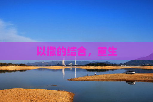 以撒的结合,重生 以撒的结合,重生