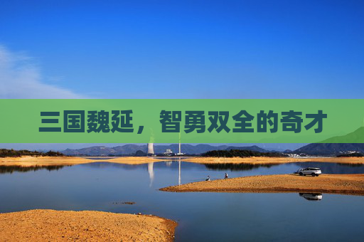 三国魏延,智勇双全的奇才 三国魏延,智勇双全的奇才