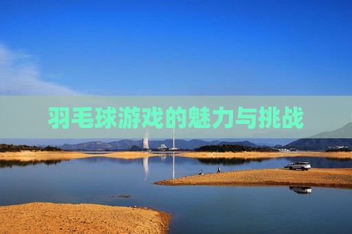 羽毛球游戏的魅力与挑战