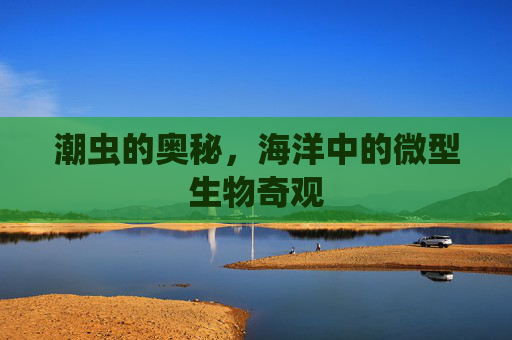 潮虫的奥秘,海洋中的微型生物奇观 潮虫的奥秘,海洋中的微型生物奇观