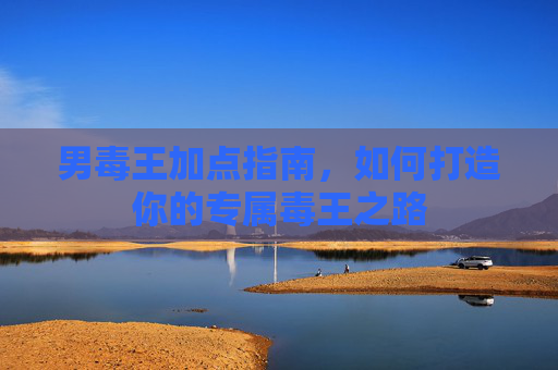 男毒王加点指南,如何打造你的专属毒王之路 男毒王加点指南,如何打造你的专属毒王之路