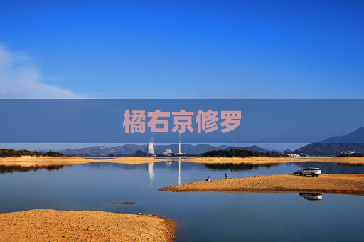 橘右京修罗