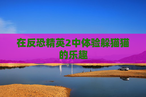 在反恐精英2中体验躲猫猫的乐趣