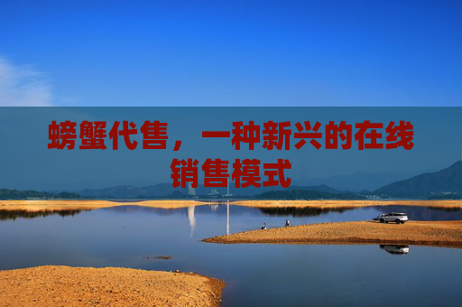 螃蟹代售，一种新兴的在线销售模式