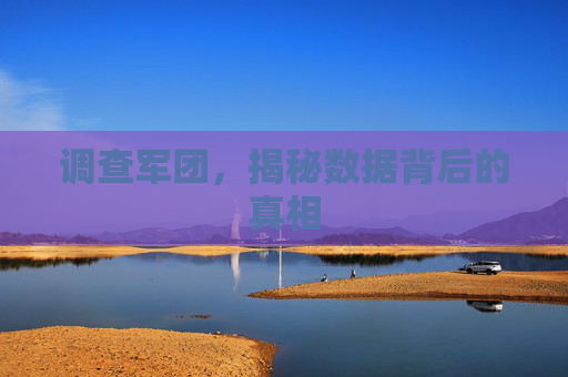 调查军团,揭秘数据背后的真相 调查军团,揭秘数据背后的真相