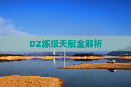 DZ练级天赋全解析