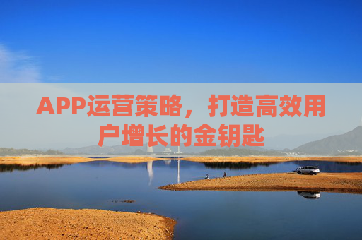 APP运营策略,打造高效用户增长的金钥匙 APP运营策略,打造高效用户增长的金钥匙