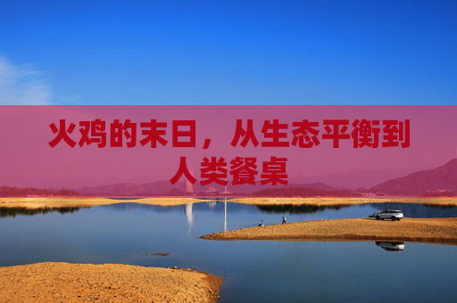 火鸡的末日,从生态平衡到人类餐桌 火鸡的末日,从生态平衡到人类餐桌
