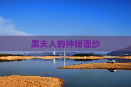 黑夫人的神秘面纱 黑夫人的神秘面纱