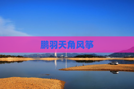 鹏羽天角风筝
