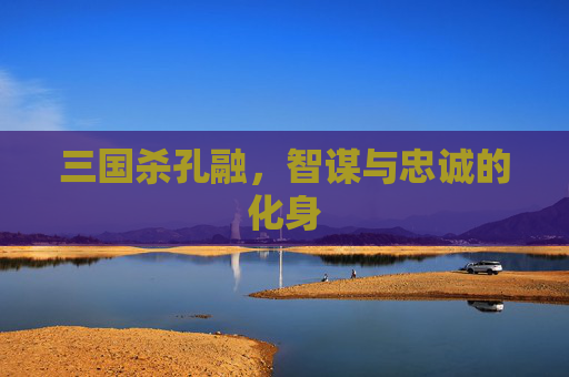 三国杀孔融,智谋与忠诚的化身 三国杀孔融,智谋与忠诚的化身