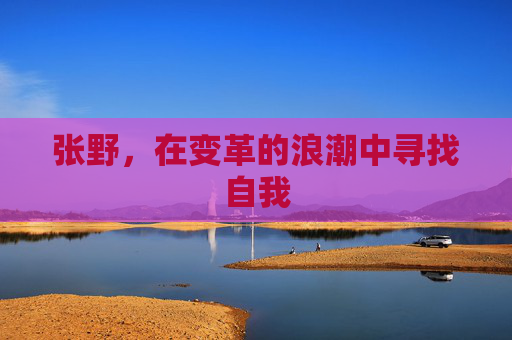 张野,在变革的浪潮中寻找自我 张野,在变革的浪潮中寻找自我