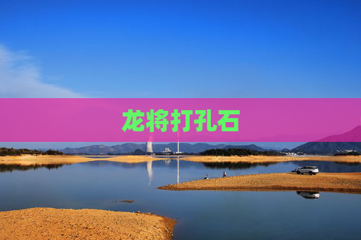 龙将打孔石 龙将打孔石