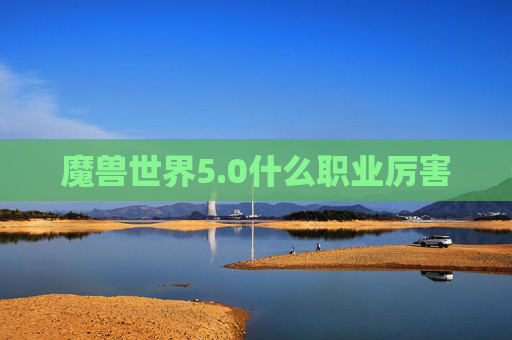 魔兽世界5.0什么职业厉害 魔兽世界5.0什么职业厉害