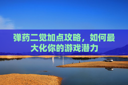 弹药二觉加点攻略,如何最大化你的游戏潜力 弹药二觉加点攻略,如何最大化你的游戏潜力