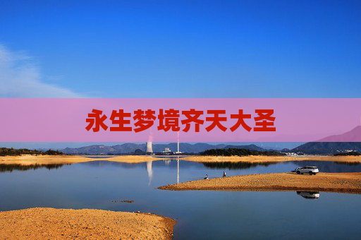 永生梦境齐天大圣