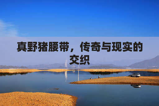 真野猪腰带,传奇与现实的交织 真野猪腰带,传奇与现实的交织