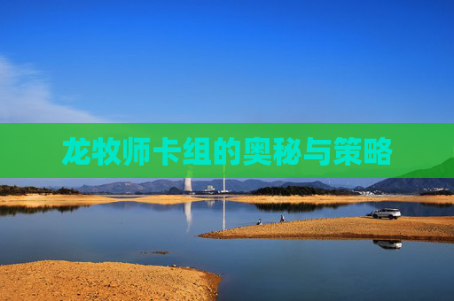龙牧师卡组的奥秘与策略 龙牧师卡组的奥秘与策略