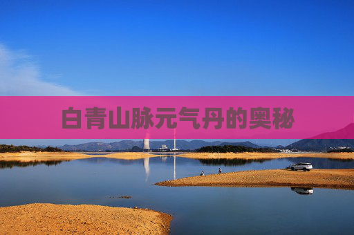 白青山脉元气丹的奥秘