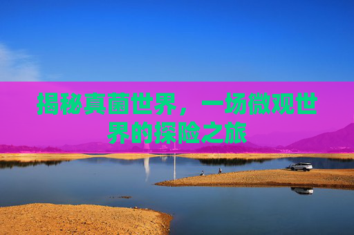 揭秘真菌世界,一场微观世界的探险之旅 揭秘真菌世界,一场微观世界的探险之旅