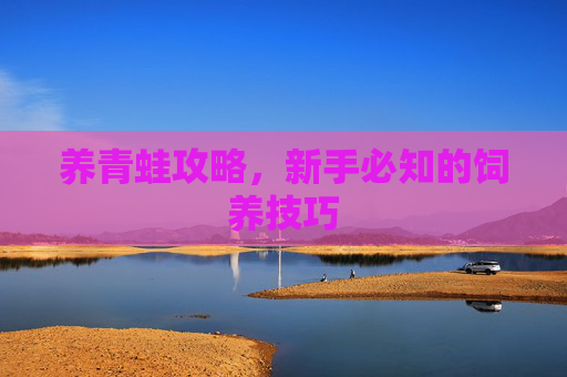 养青蛙攻略,新手必知的饲养技巧 养青蛙攻略,新手必知的饲养技巧