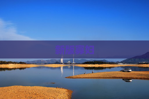 新版寡妇